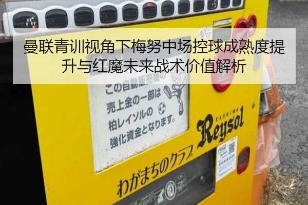 img_1782245339456_2345_1_182.jpg